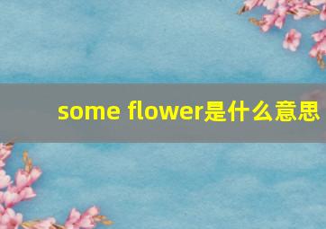 some flower是什么意思